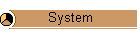 System
